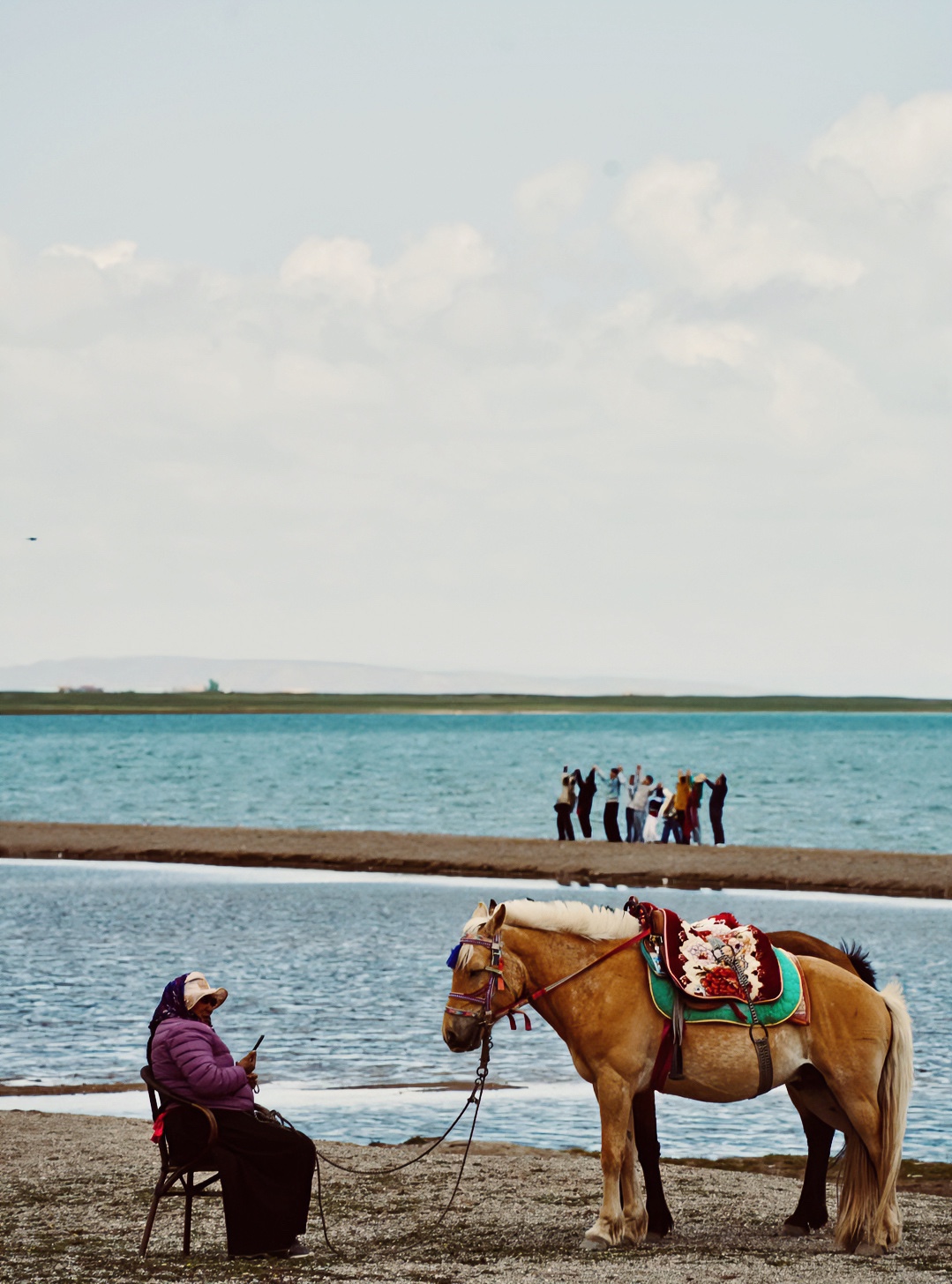 1763946944841830.jpg 一等奖-李明泽-湖岸冷暖.jpg